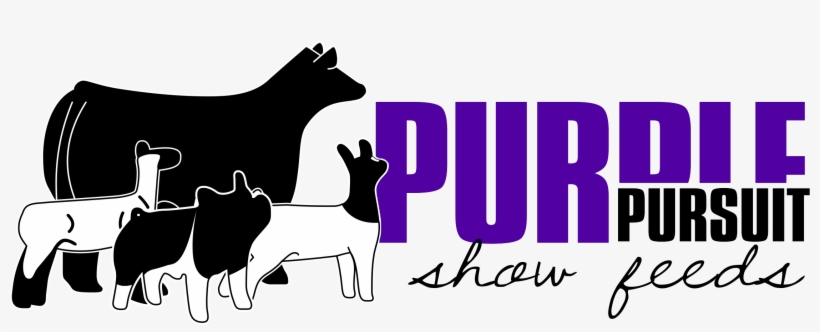 Show Pig Feed, transparent png #6870058