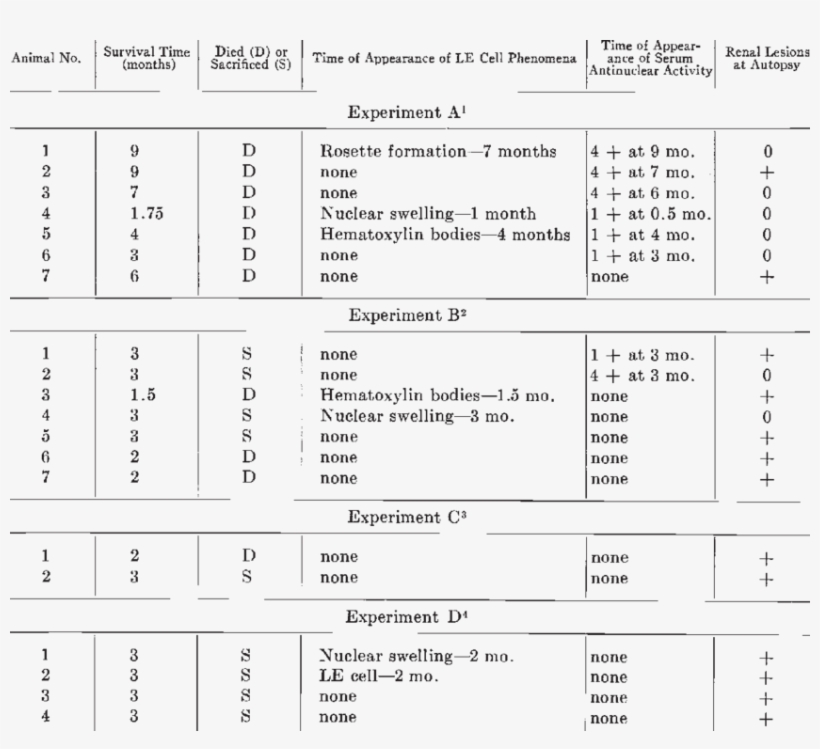 Effects Of Hydralazine On Guinea-pigs, transparent png #6870283