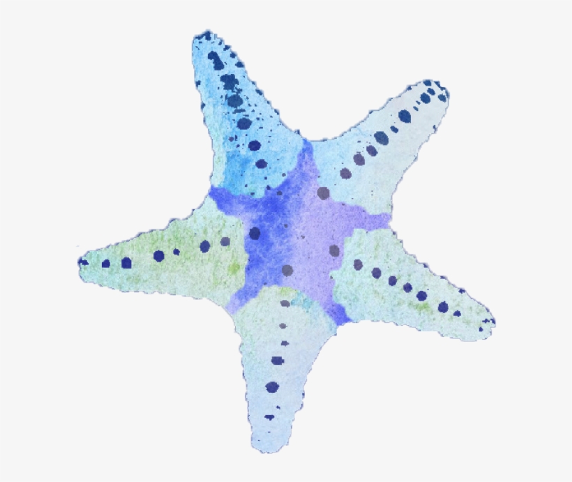Starfish.png, transparent png #6870760