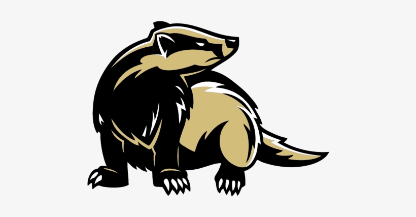 Badger, transparent png #6871217