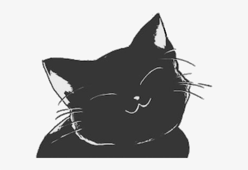 Cat Cats Blackcat Smilingcat Happycat Keepsmiling Petsa, transparent png #6871349