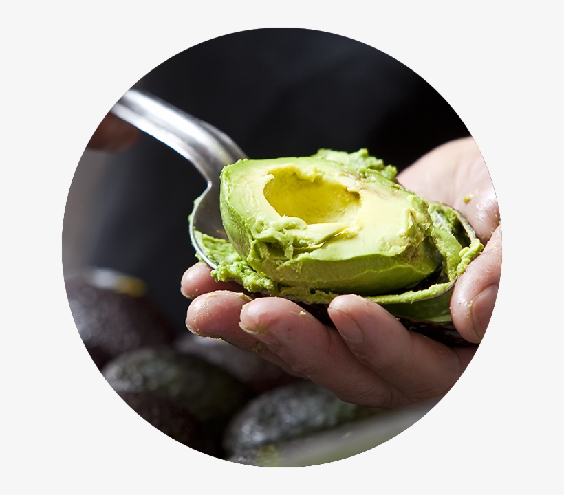 Guacamole, transparent png #6872602