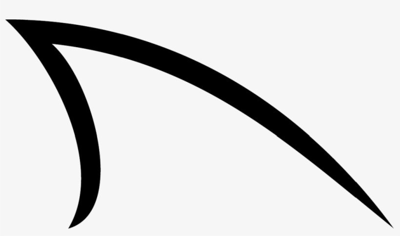 Dorsal's Picture, transparent png #6874520