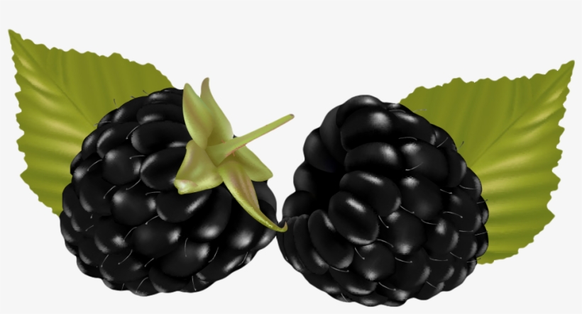 Fruits And Veggies, Clip Art, Journal, Illustrations,, transparent png #6875382