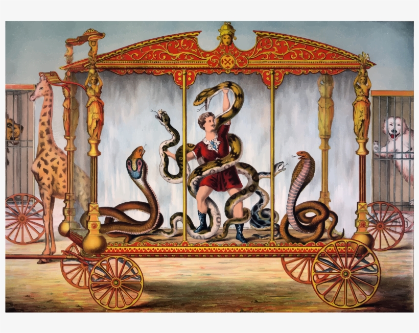 Medium Image, transparent png #6876058