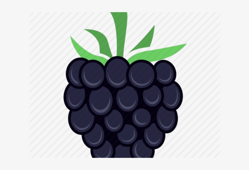 Blackberry Fruit Png, transparent png #6876294