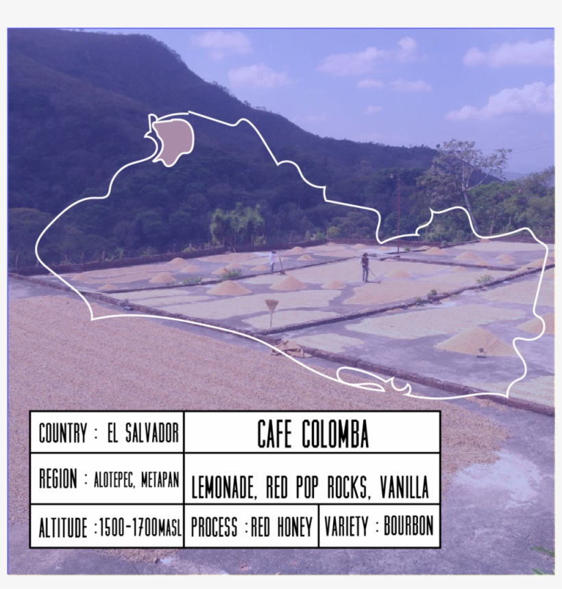 Cafecolomba, transparent png #6876563