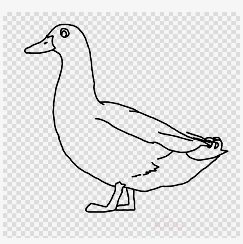 Duck Drawing Pic Png Clipart Donald Duck Line Art, transparent png #6878717