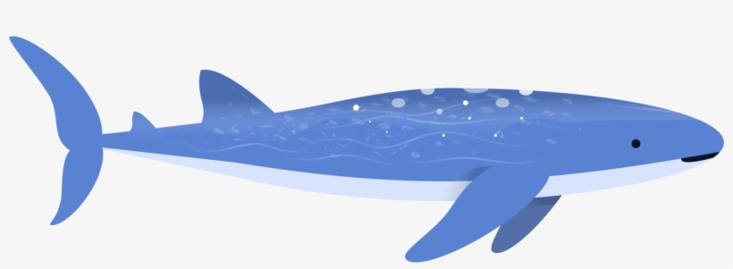 Shark, transparent png #6879616