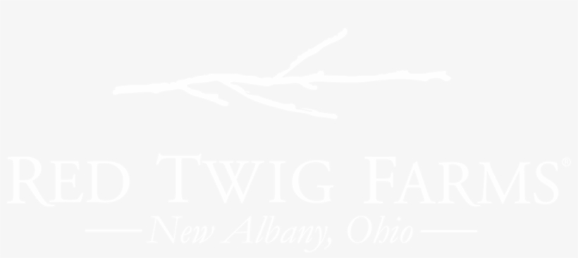 Twig Png, transparent png #6879719