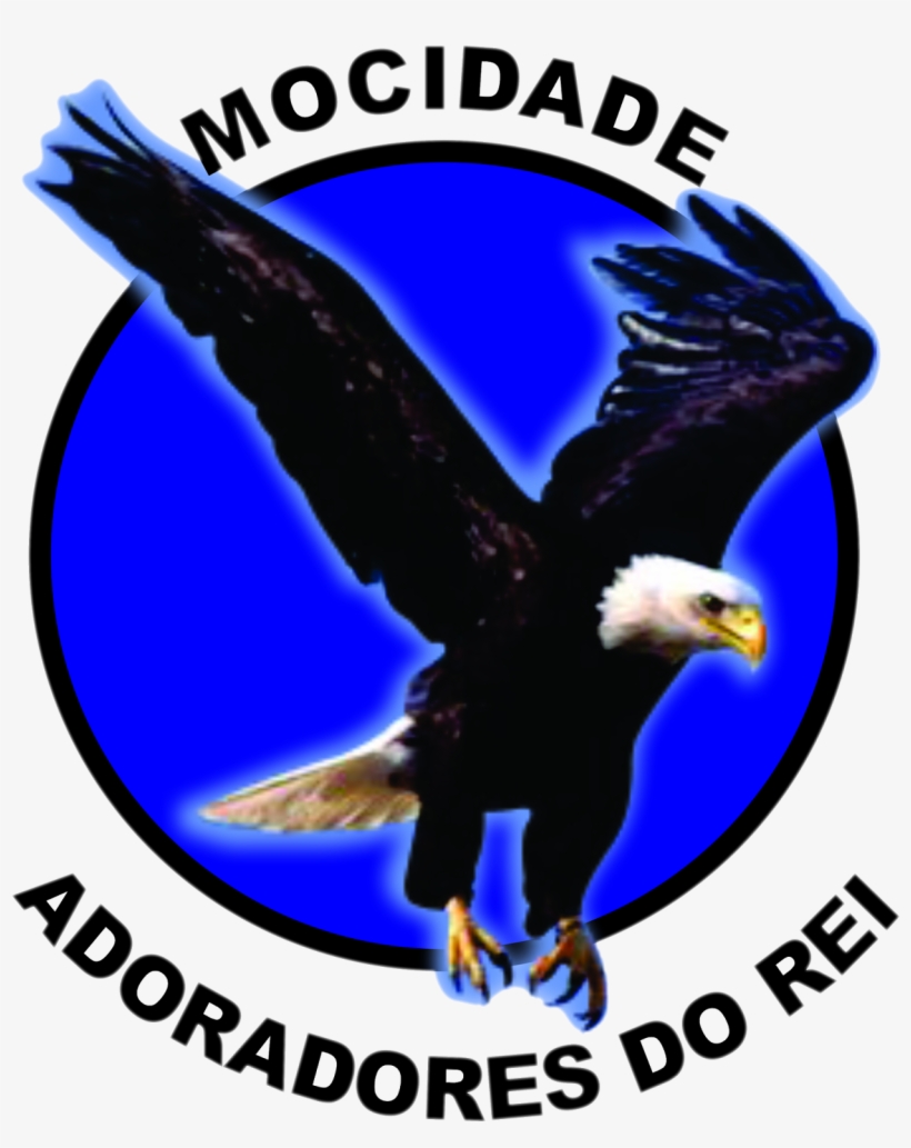 12 De Janeiro De, transparent png #6880483