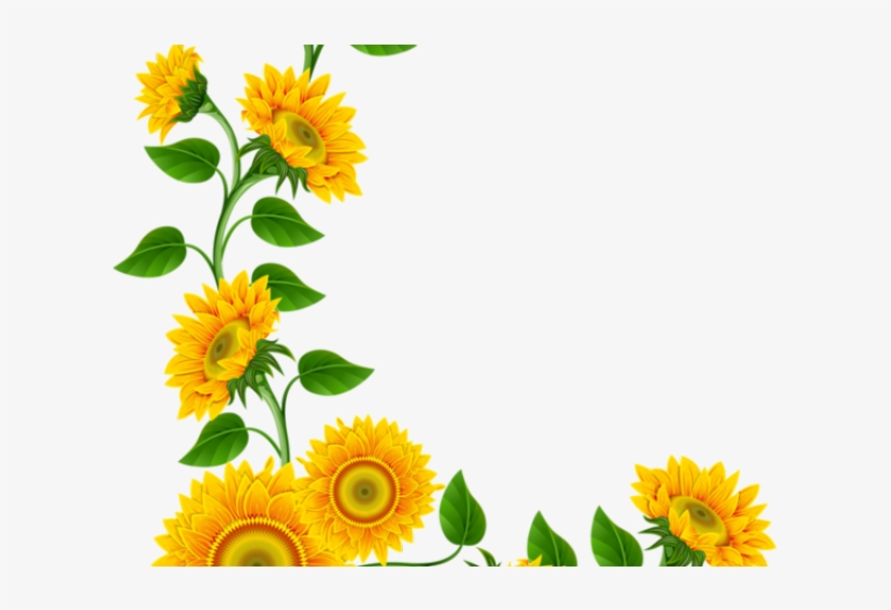 Daisy Clipart Corner Border, transparent png #6881278