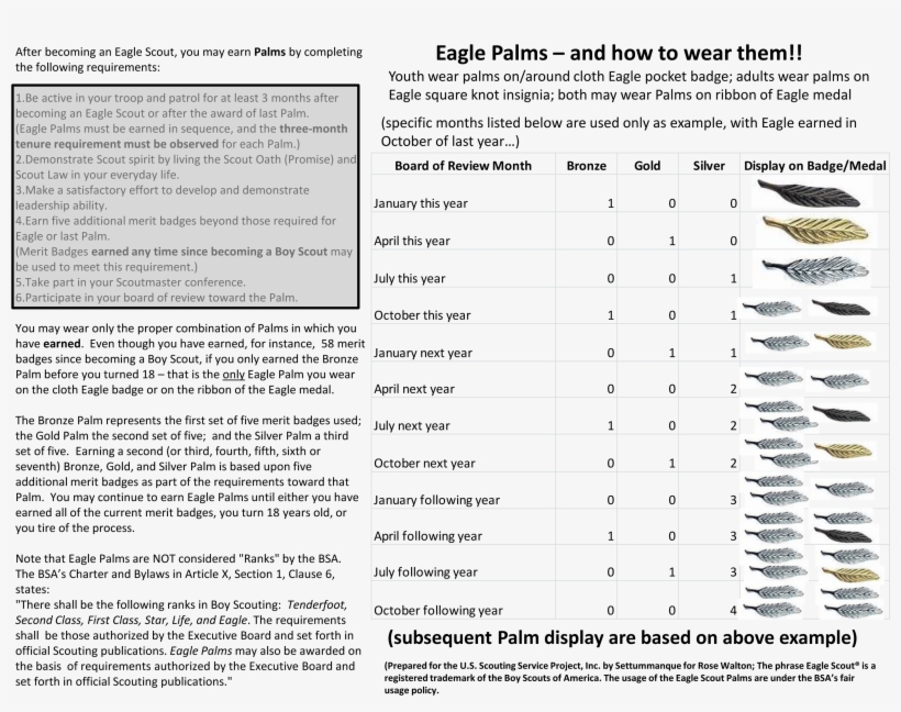 Eagle Palms Settummanque, transparent png #6882376