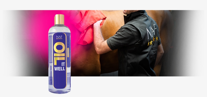 High Quality Oil To Highlight Your Horse's Best Points, transparent png #6882512