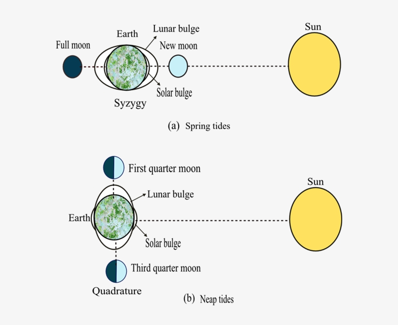 Picture, transparent png #6883285