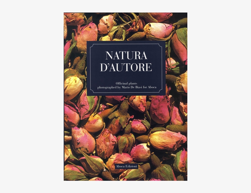 Picture Of Natura D'autore, transparent png #6885580
