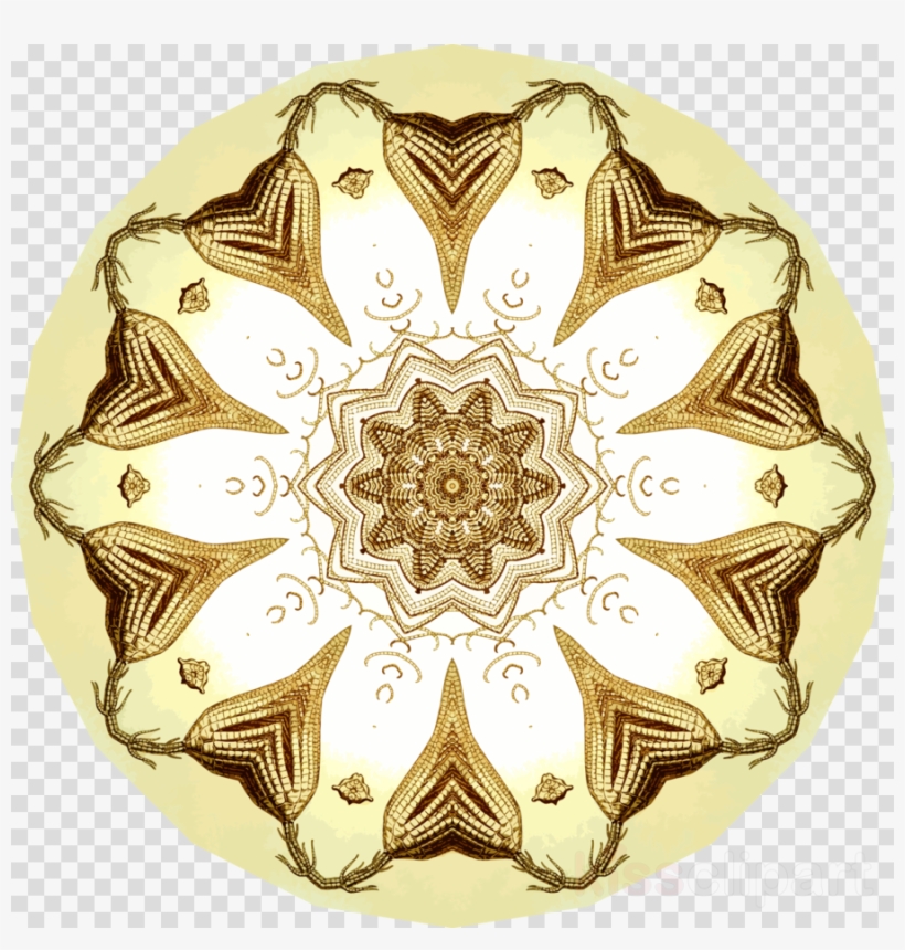 Doilies Png, transparent png #6885683