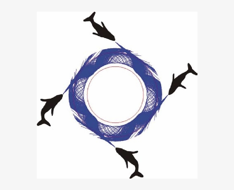 Four Whales Insonify An Annular Bubble Net Having The, transparent png #6886301