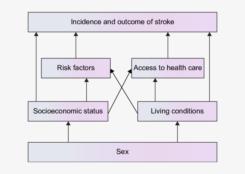 Socioeconomic Mechanism Underlying Sex Differences, transparent png #6888911