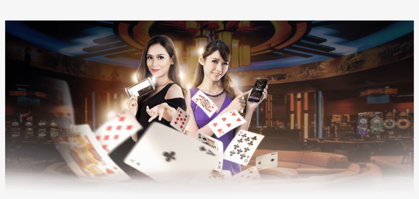 As An Advice, Read The Terms And Conditions Of The, transparent png #6890429