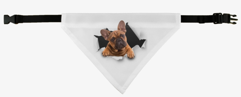 Peeking Frenchie ﻿pet Bandana, transparent png #6891410