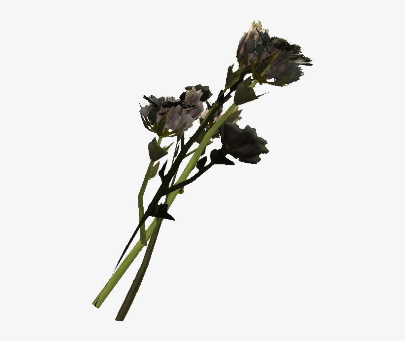 Cotton Plant Png, transparent png #6892684