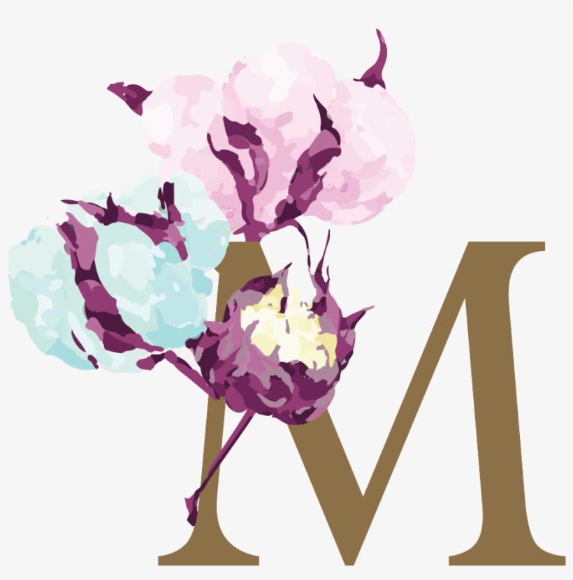 Mollia Cotton, transparent png #6893078