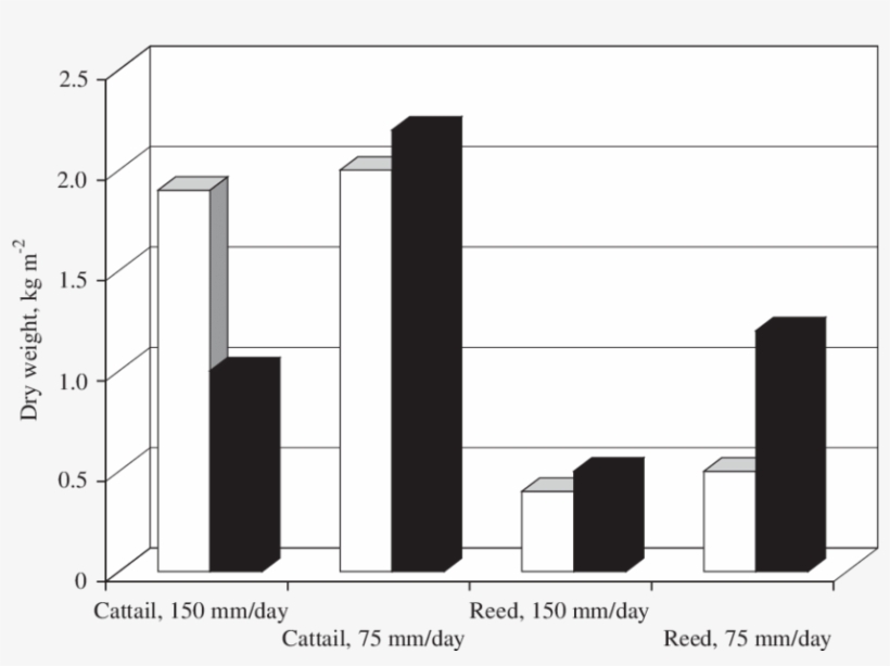 Comparison Between Biomass Yields For Cattail And Reed, transparent png #6894205