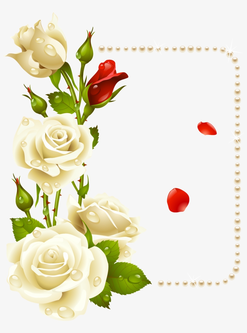 Flores, transparent png #6894503