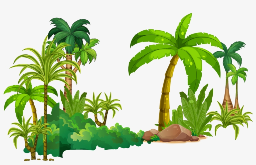 Tree Tropical Rainforest Euclidean Vector, transparent png #6894563