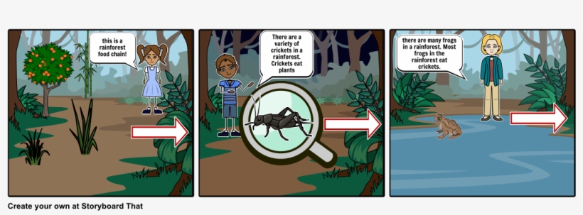 Science Rainforest, transparent png #6894673