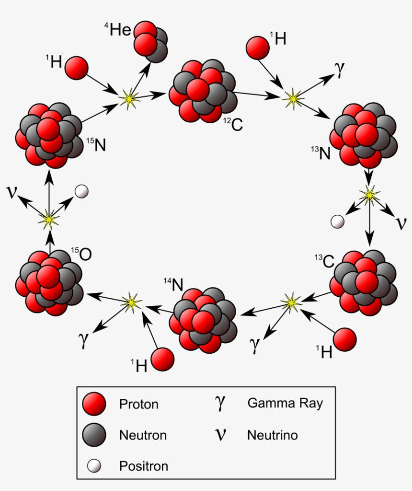 Cno Cycle, transparent png #6894723