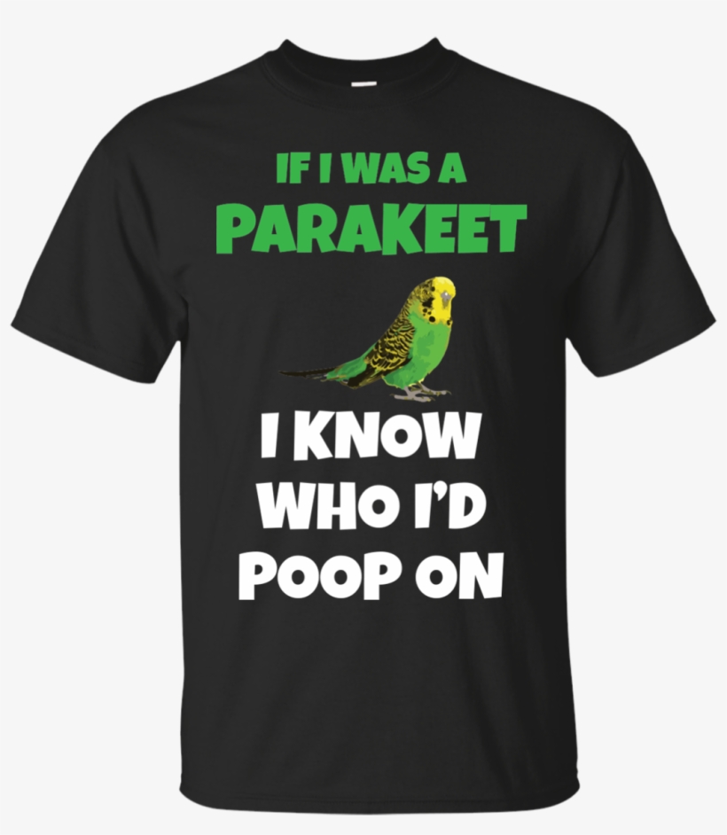 Parakeets, transparent png #6894727