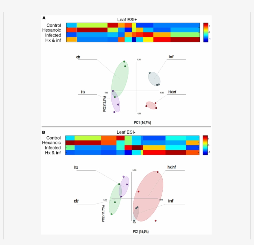 Principal Component Analysis And Cluster Plots Comparing, transparent png #6894926