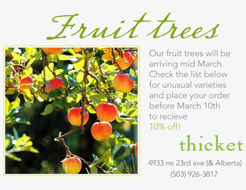 We Are Doing Our Spring Order For Fruit Trees - Forging Freedom: Black Women And The Pursuit, transparent png #690090
