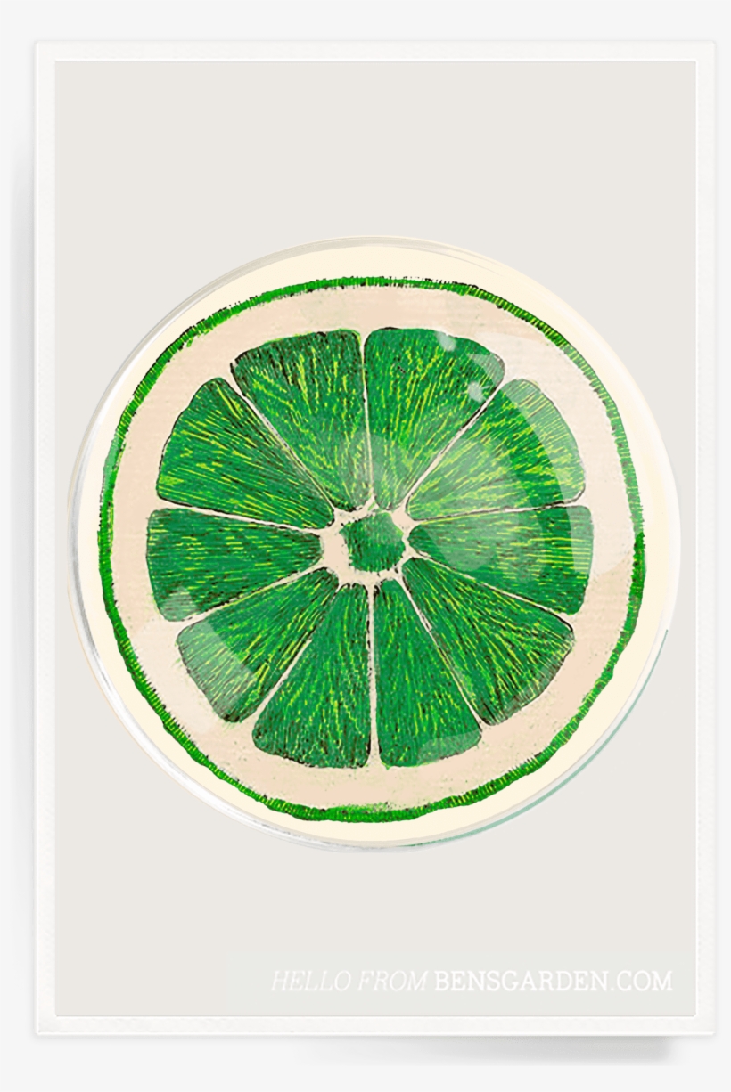 Ben's Garden - Circle, transparent png #690957