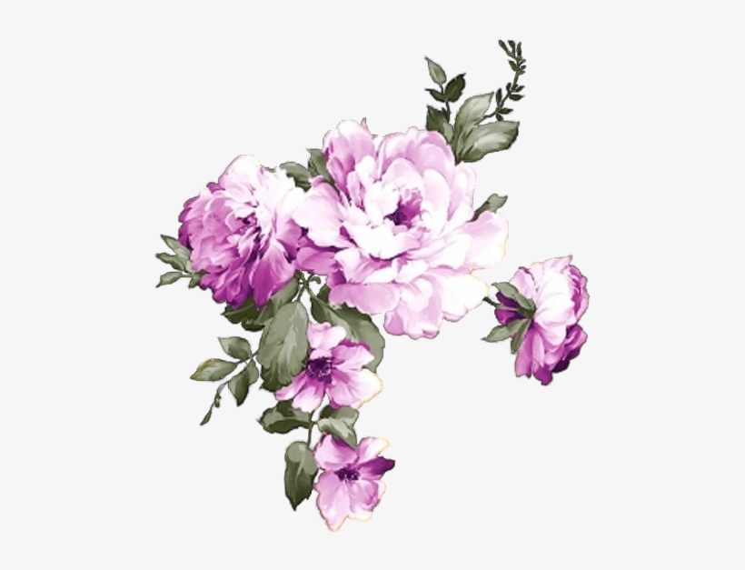 Flower Prints - Common Peony, transparent png #691029