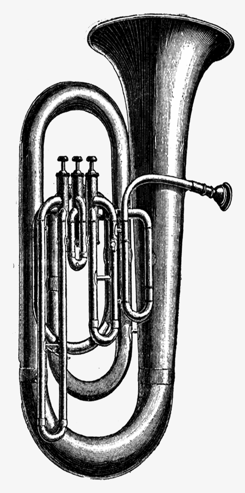 Vintage Png - Tuba Vintage, transparent png #691035