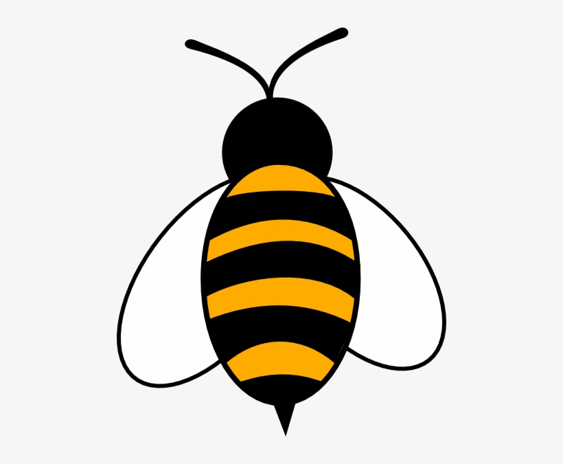 Bee Clipart Png - Bumble Bee Clip Art - Free Transparent PNG Download -  PNGkey