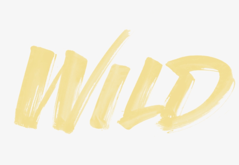 Wild From Troye Sivan - Wild, transparent png #693471