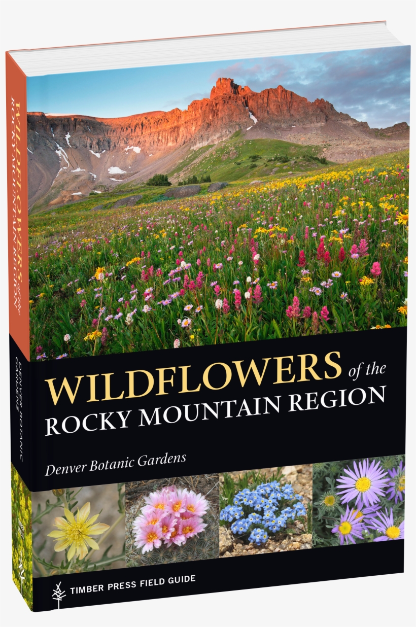 Cover - Wildflowers Of The Rocky Mountain Region, transparent png #693963
