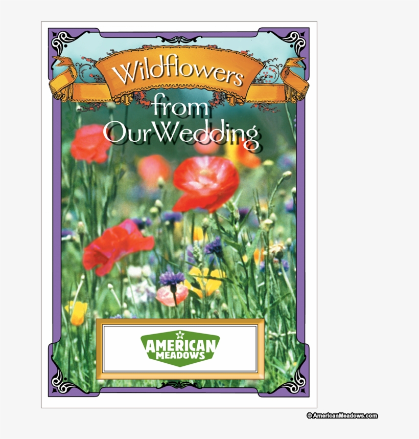 Wildflowers From Our Wedding Seed Packet - Packet Of Wildflower Seeds, transparent png #694016