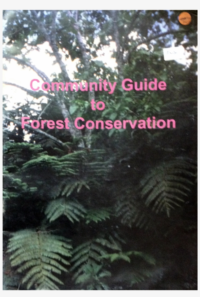 Community Guide To Forest Conservation - Ostrich Fern, transparent png #694191