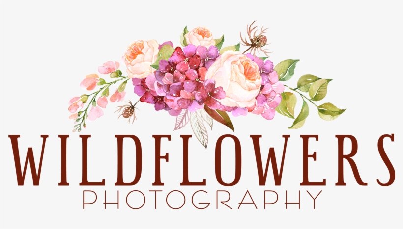 Wildflowers Photography - Eleville 8x10 Though She Be But Little She Is Fierce, transparent png #694217