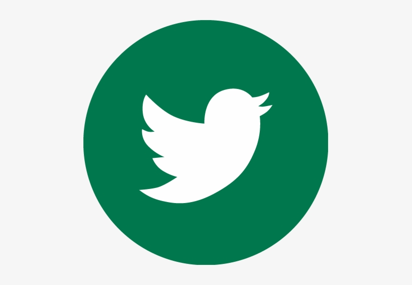 Twitter Green - Rainforest Qa Logo, transparent png #694309