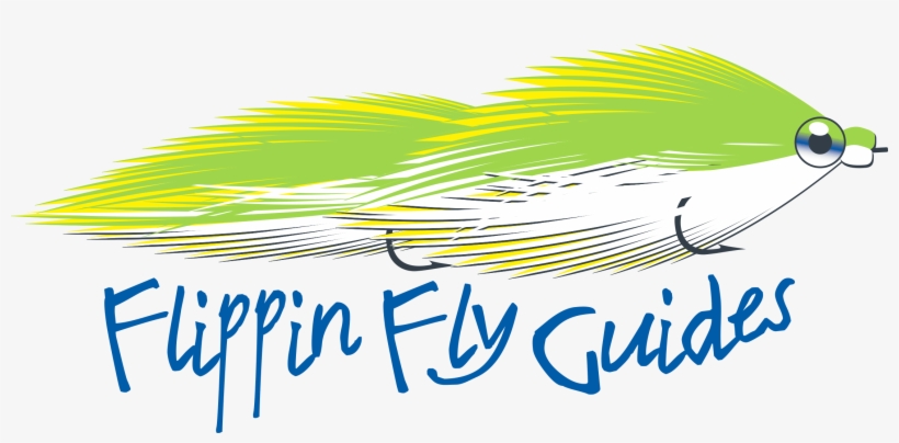 Streamer Fishing Arkansas Tailwaters From The Front - Faq, transparent png #694725