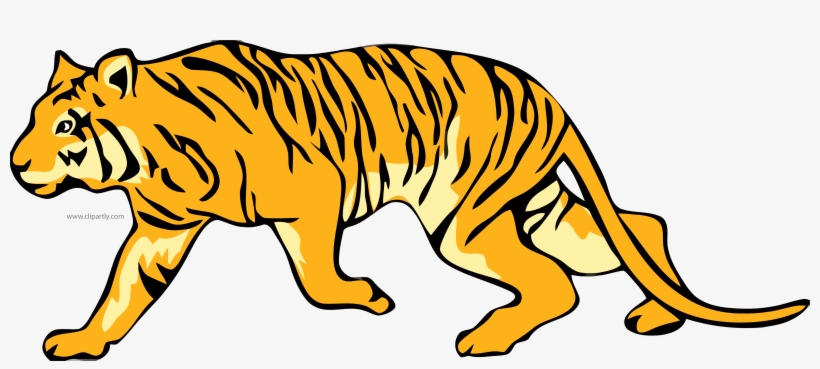 Png Clipartly Comclipartly Com - Tiger Clipart, transparent png #695100