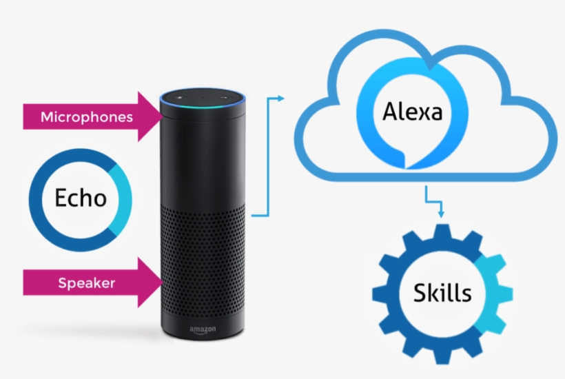 For Example, The Amazon Echo Pictured Here Contains - Alexa Skills, transparent png #695390