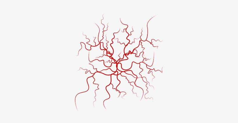 Fortunately, There Are Many Treatments That Can Detect - Veins Vector, transparent png #695889