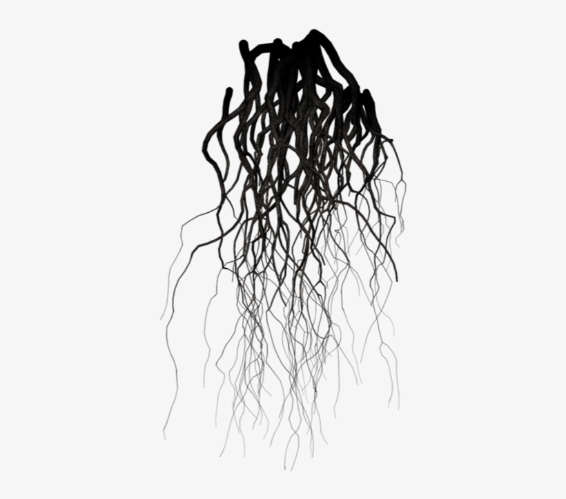 Drawing Veins Dark - Veins Black And White, transparent png #695968
